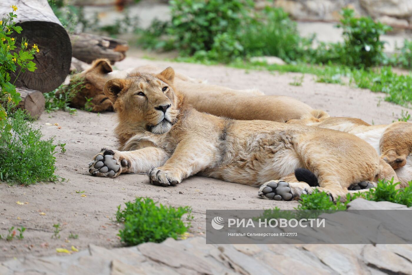 Московский зоопарк