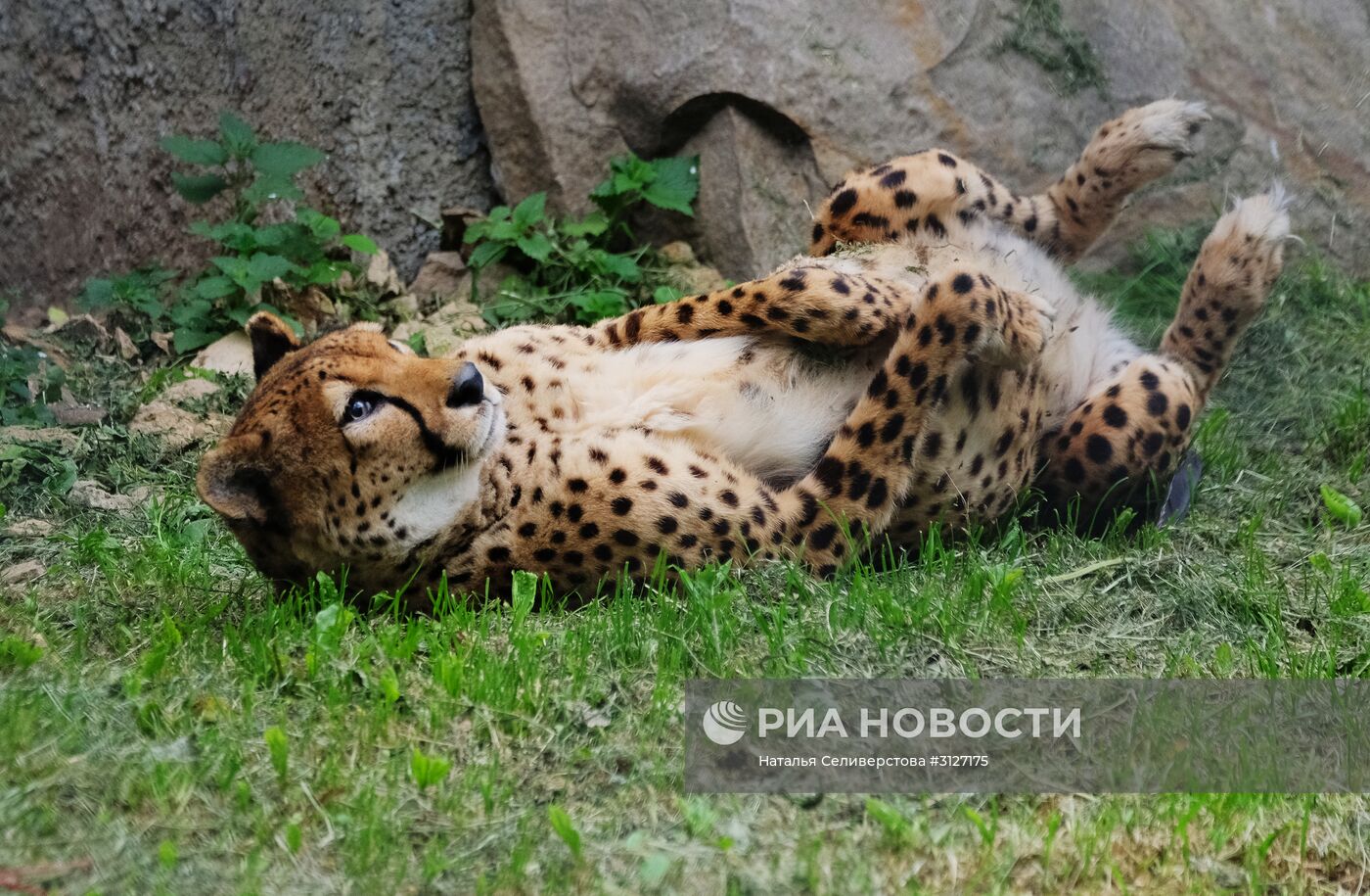 Московский зоопарк