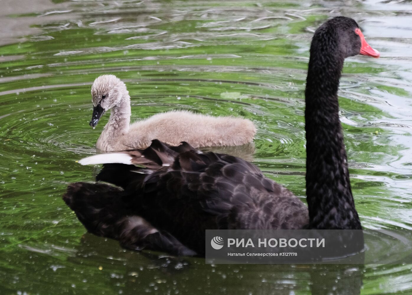 Московский зоопарк