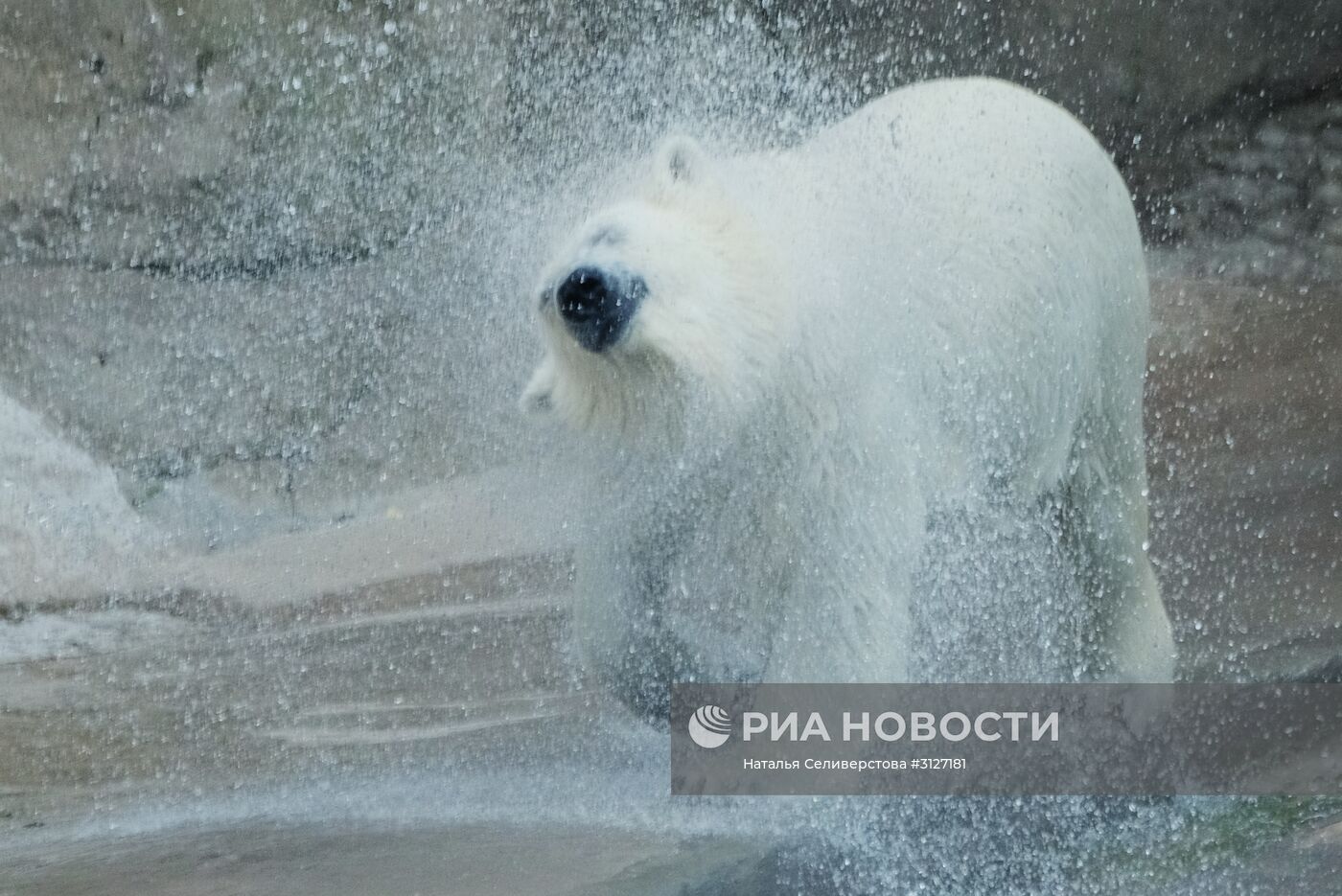 Московский зоопарк