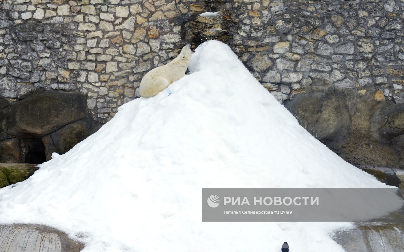 Московский зоопарк