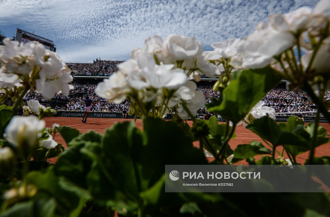 Теннис. Ролан Гаррос. Пятнадцатый день