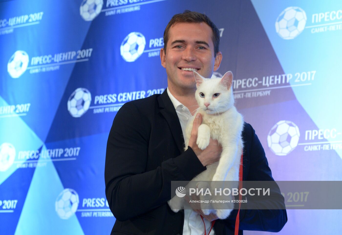 В Петербурге выбрали кота-оракула Кубка Конфедераций-2017