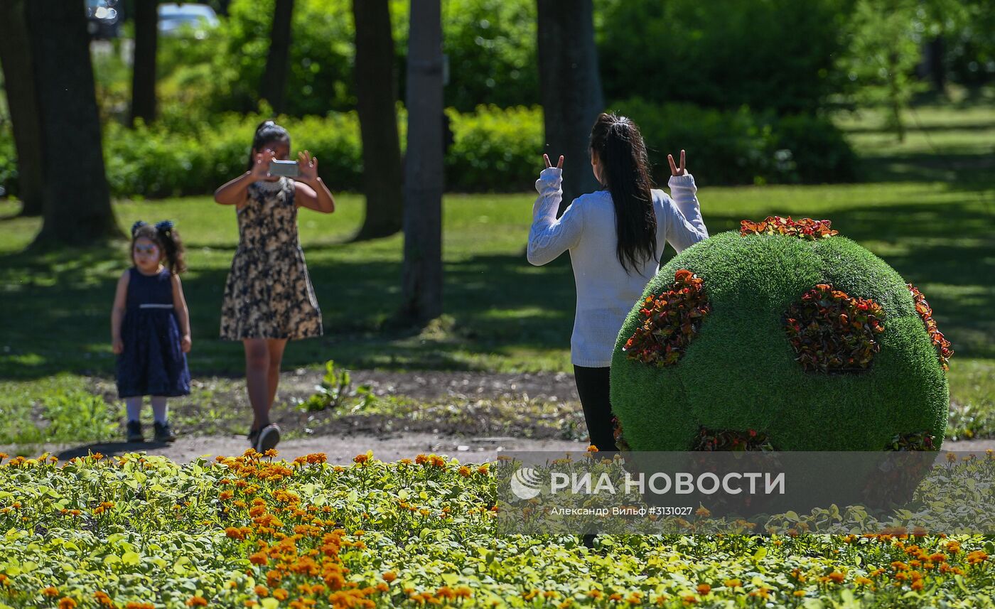 Подготовка к Кубку конфедераций-2017 в Санкт-Петербурге