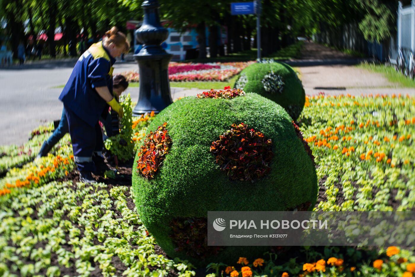 Подготовка к Кубку конфедераций-2017 в Санкт-Петербурге