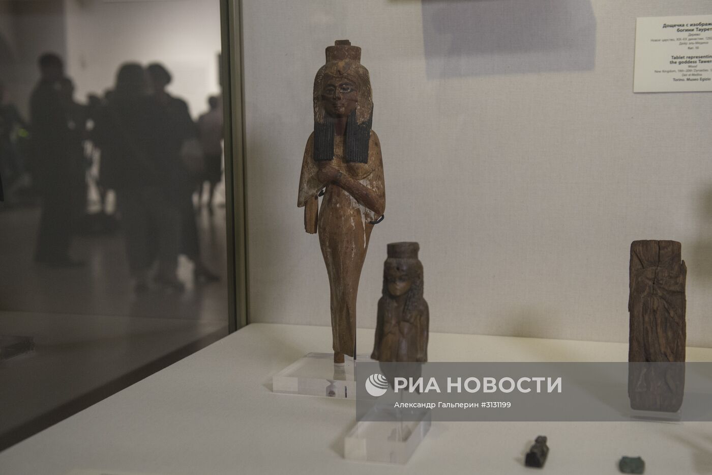 Открытие выставки "Нефертари и Долина Цариц из Египетского музея в Турине" в Эрмитаже