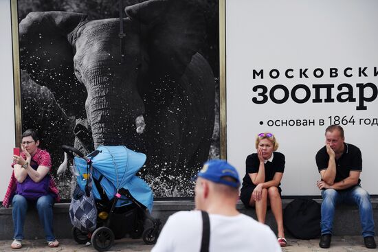 В Московском зоопарке родился детеныш азиатского слона