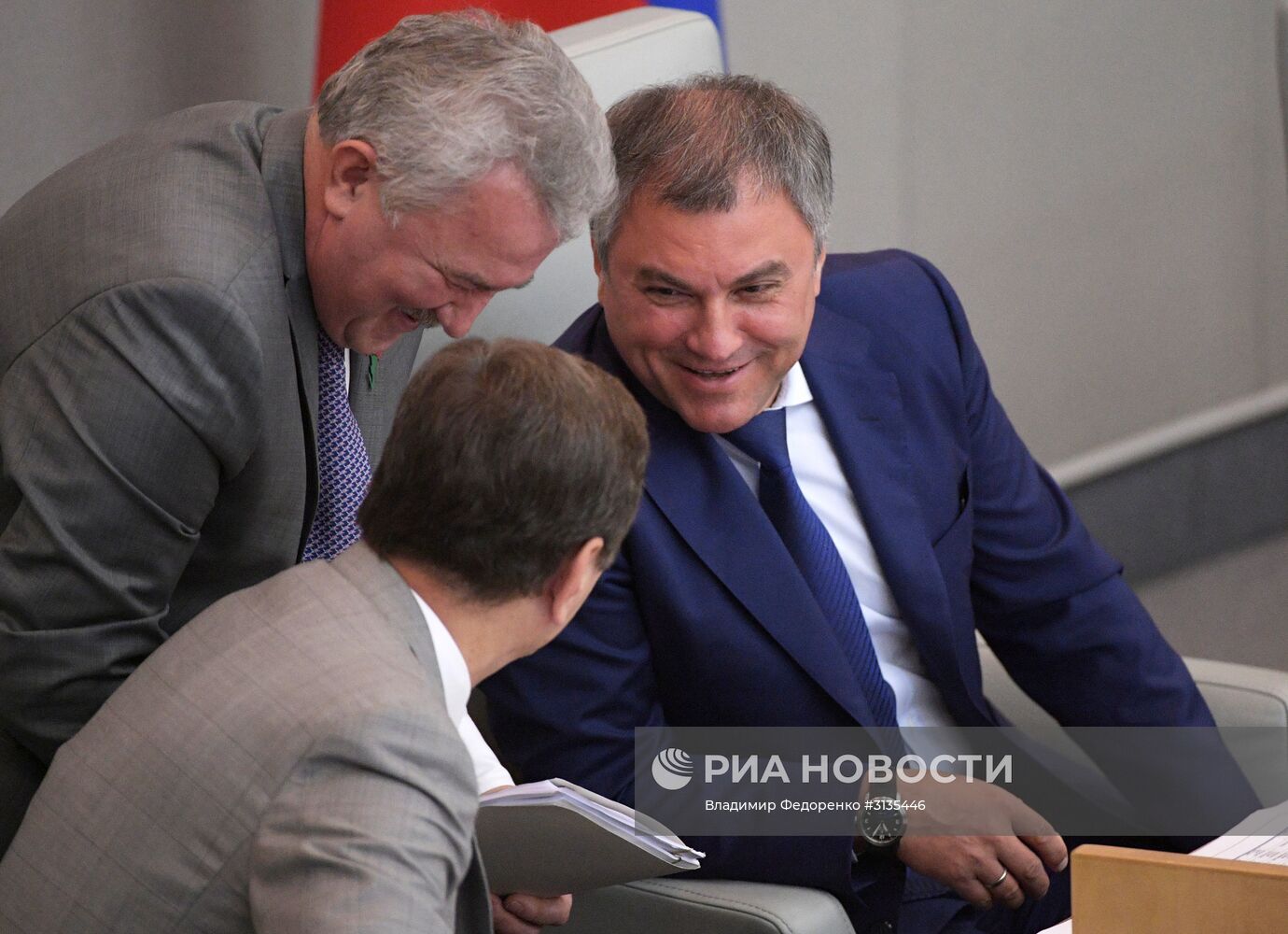 Пленарное заседание Госдумы РФ