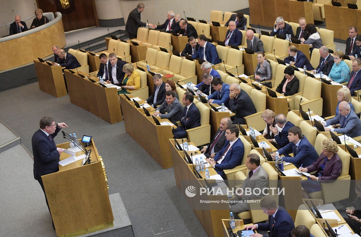 Пленарное заседание Госдумы РФ