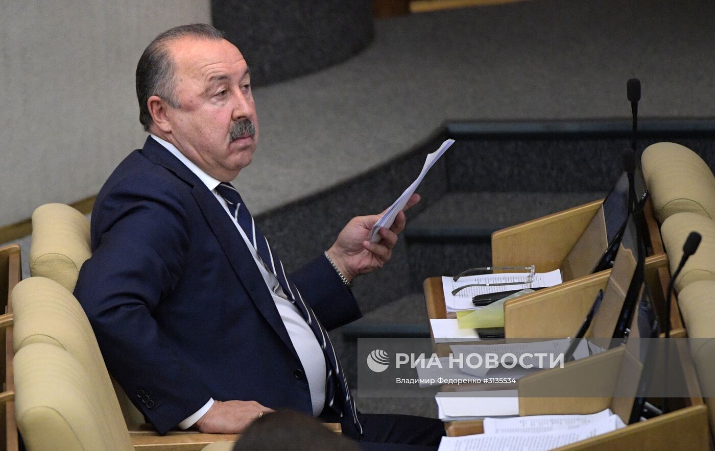 Пленарное заседание Госдумы РФ