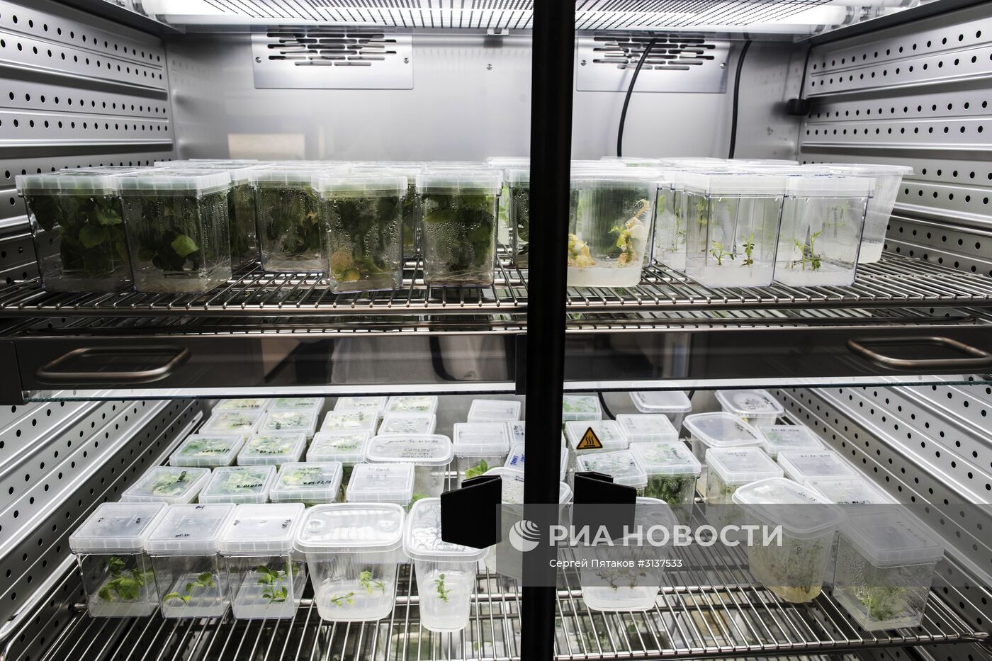 Лаборатория инновационных медицинских технологий в Долгопрудном