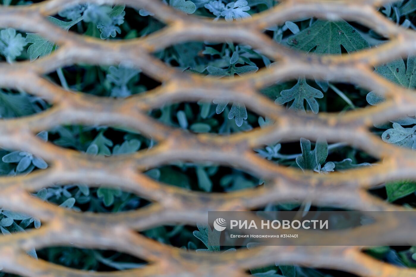 VI Московский Международный фестиваль садов и цветов Moscow Flower Show в парке искусств Музеон