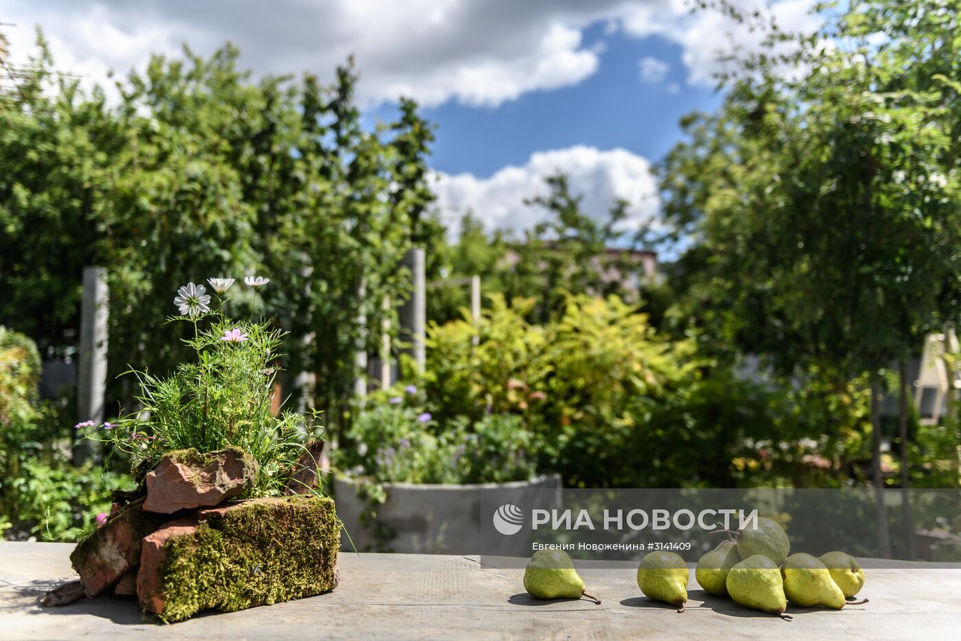 VI Московский Международный фестиваль садов и цветов Moscow Flower Show в парке искусств Музеон