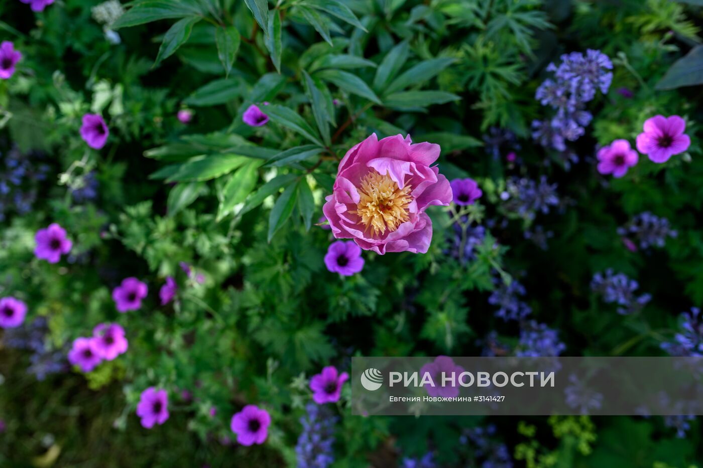 VI Московский Международный фестиваль садов и цветов Moscow Flower Show в парке искусств Музеон