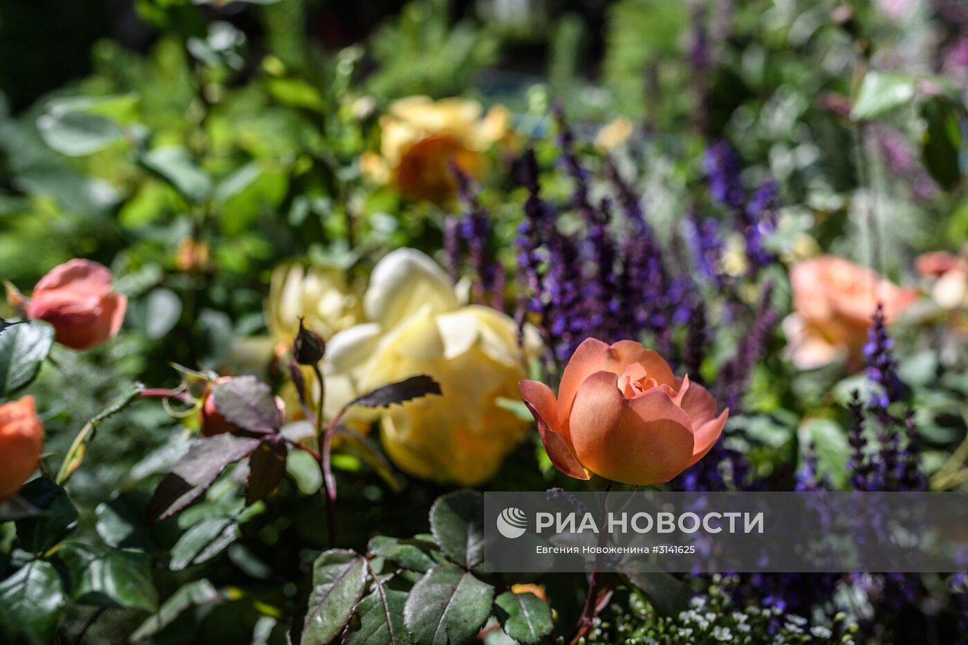 VI Московский Международный фестиваль садов и цветов Moscow Flower Show в парке искусств Музеон