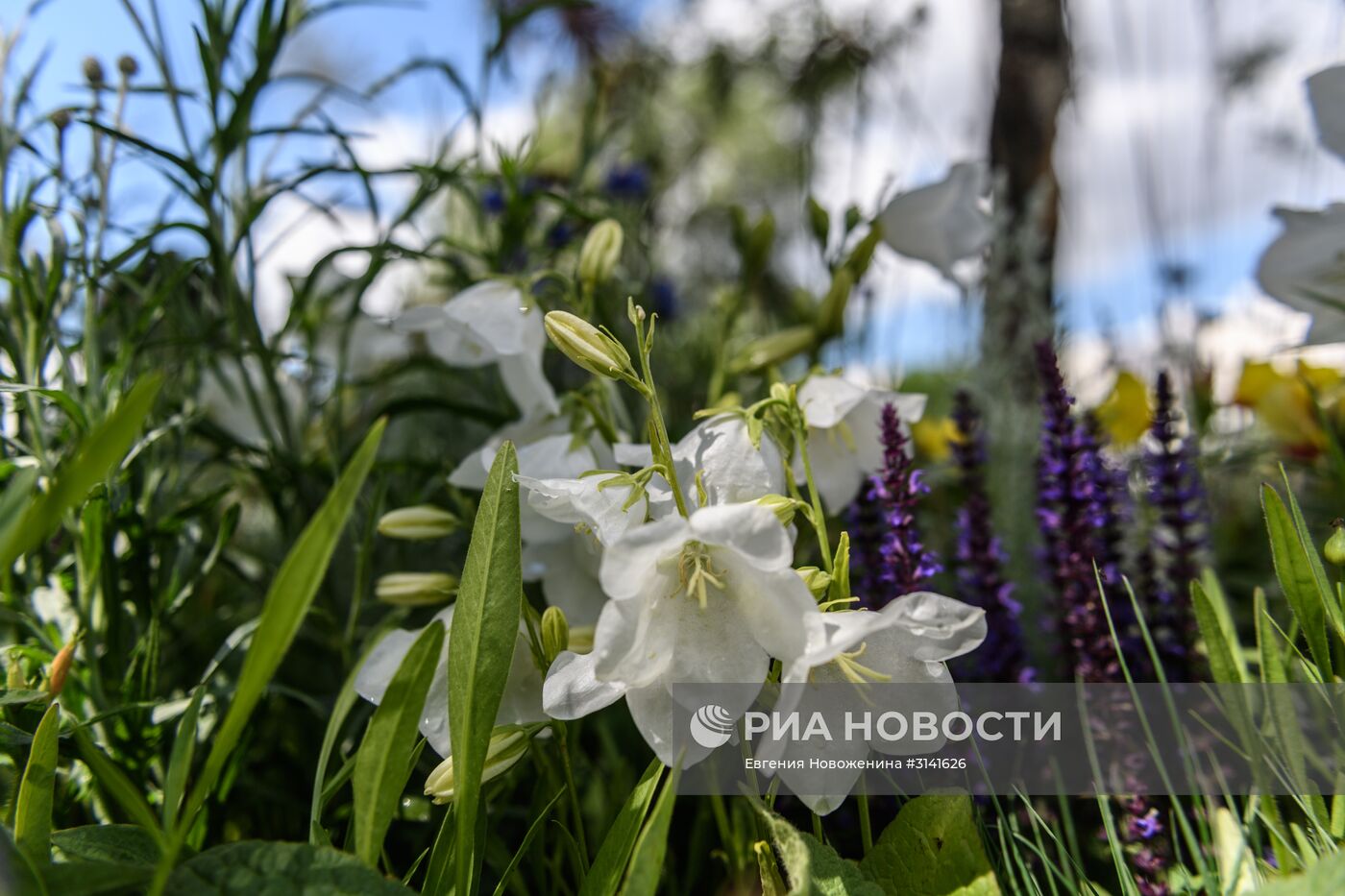 VI Московский Международный фестиваль садов и цветов Moscow Flower Show в парке искусств Музеон