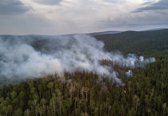Лесные пожары в Бурятии