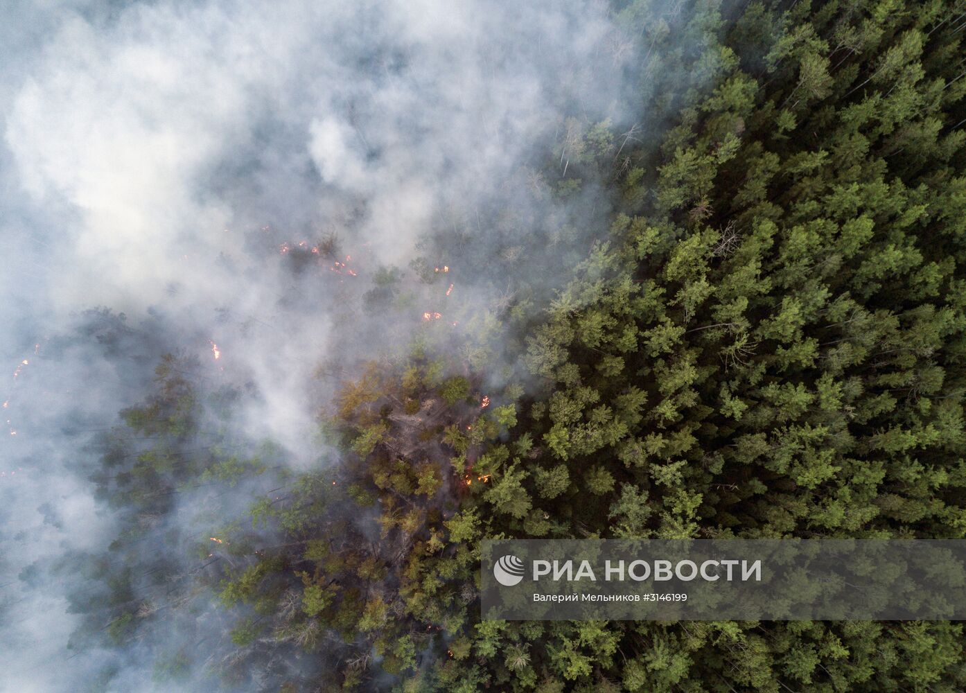 Лесные пожары в Бурятии