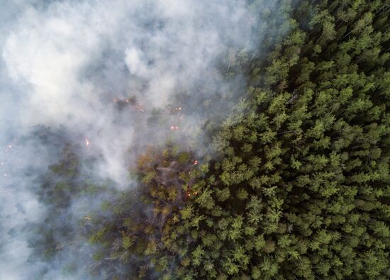 Лесные пожары в Бурятии