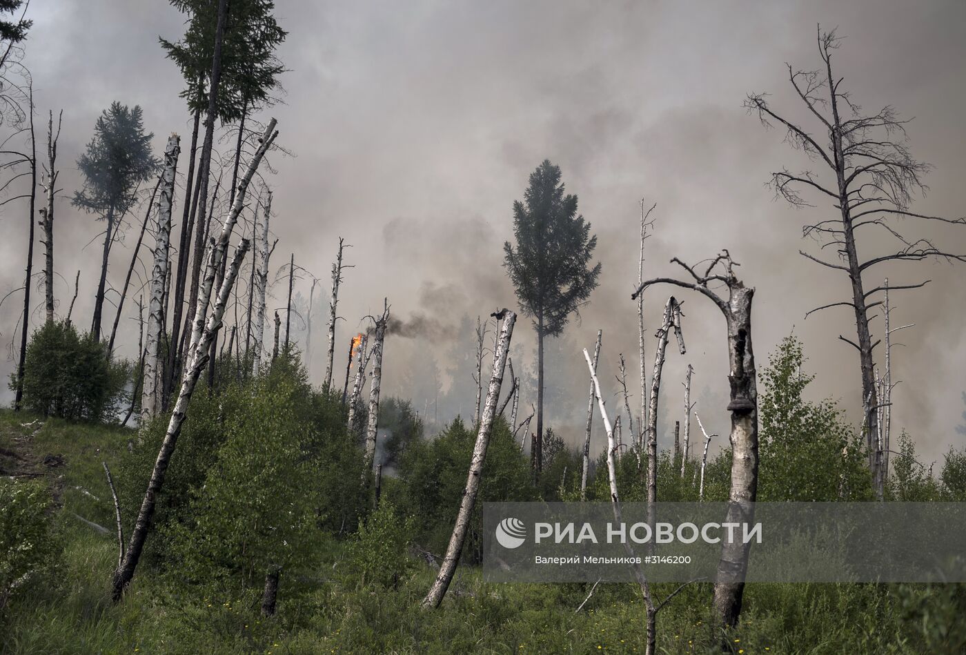 Лесные пожары в Бурятии