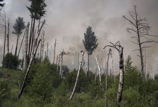 Лесные пожары в Бурятии