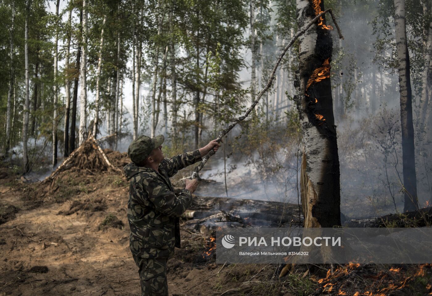 Лесные пожары в Бурятии