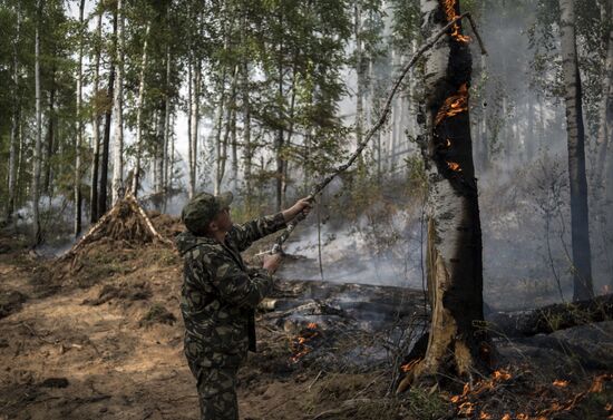Лесные пожары в Бурятии