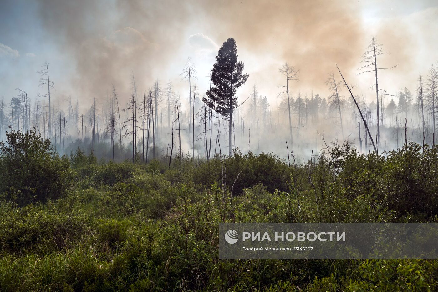 Лесные пожары в Бурятии
