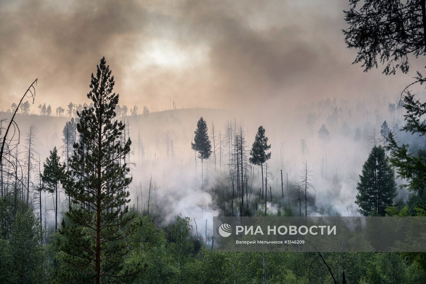 Лесные пожары в Бурятии