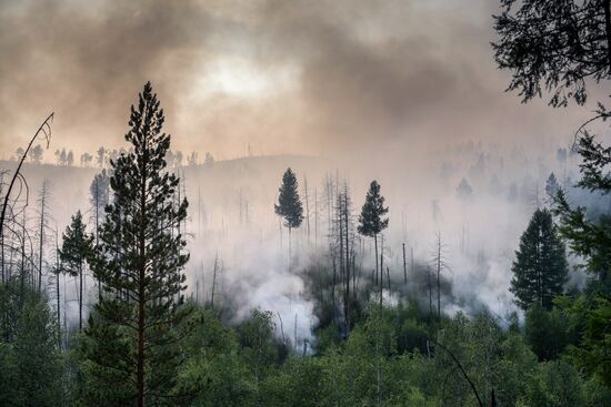 Лесные пожары в Бурятии