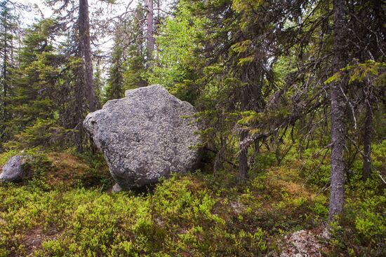 Гора Воттоваара в Карелии