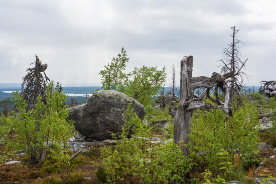 Гора Воттоваара в Карелии