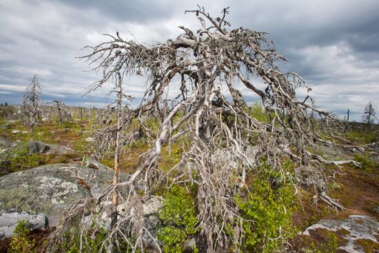Гора Воттоваара в Карелии