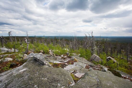 Гора Воттоваара в Карелии