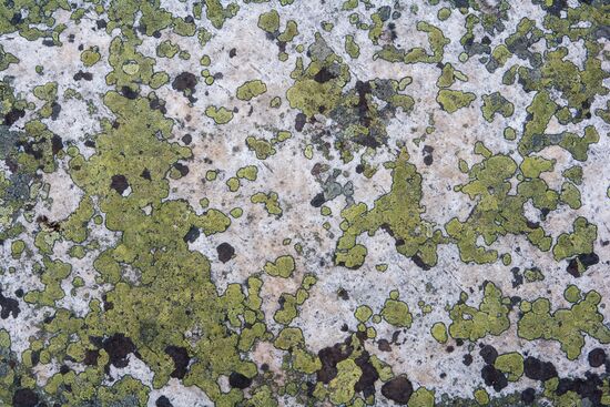 Гора Воттоваара в Карелии