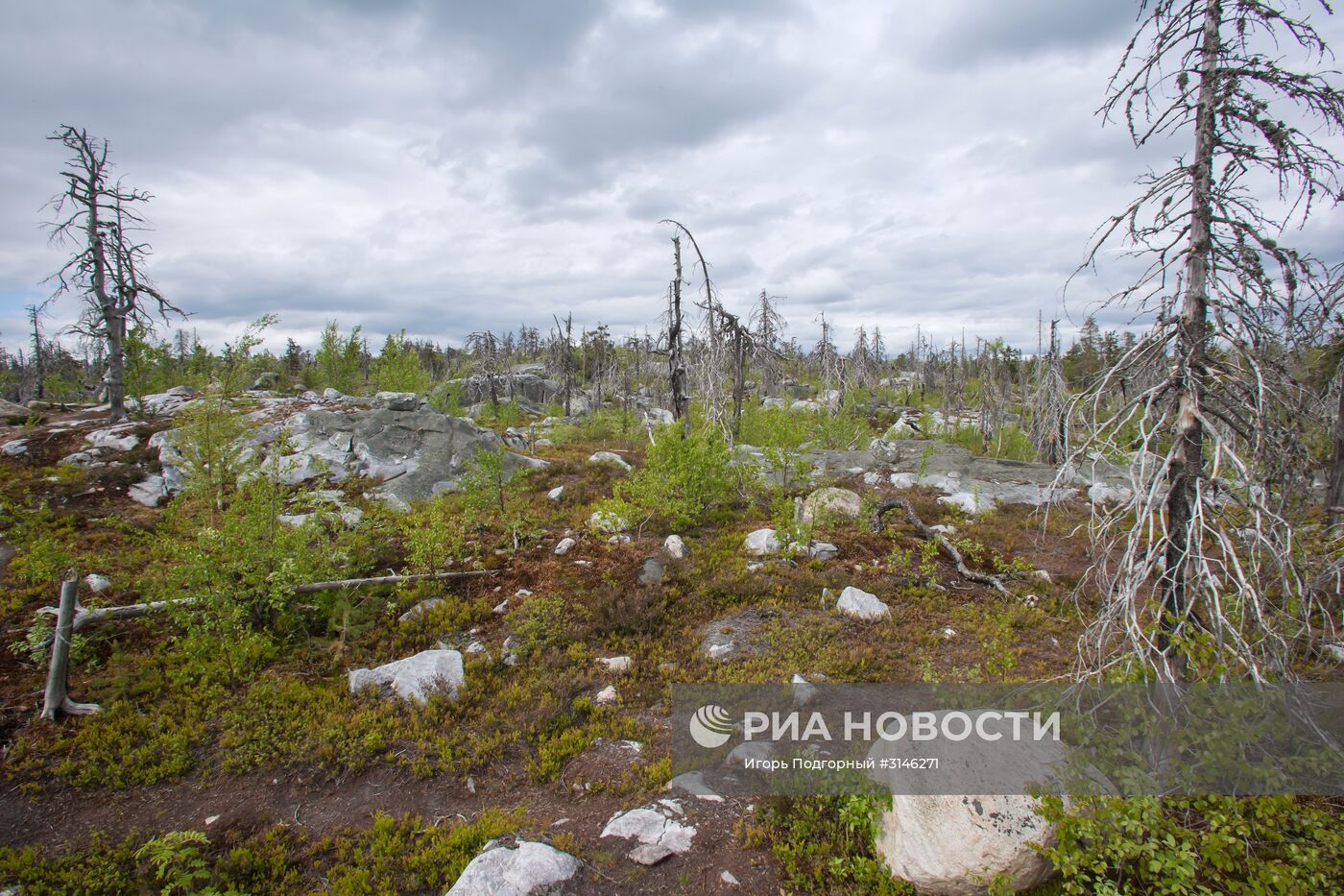 Гора Воттоваара в Карелии