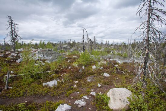 Гора Воттоваара в Карелии