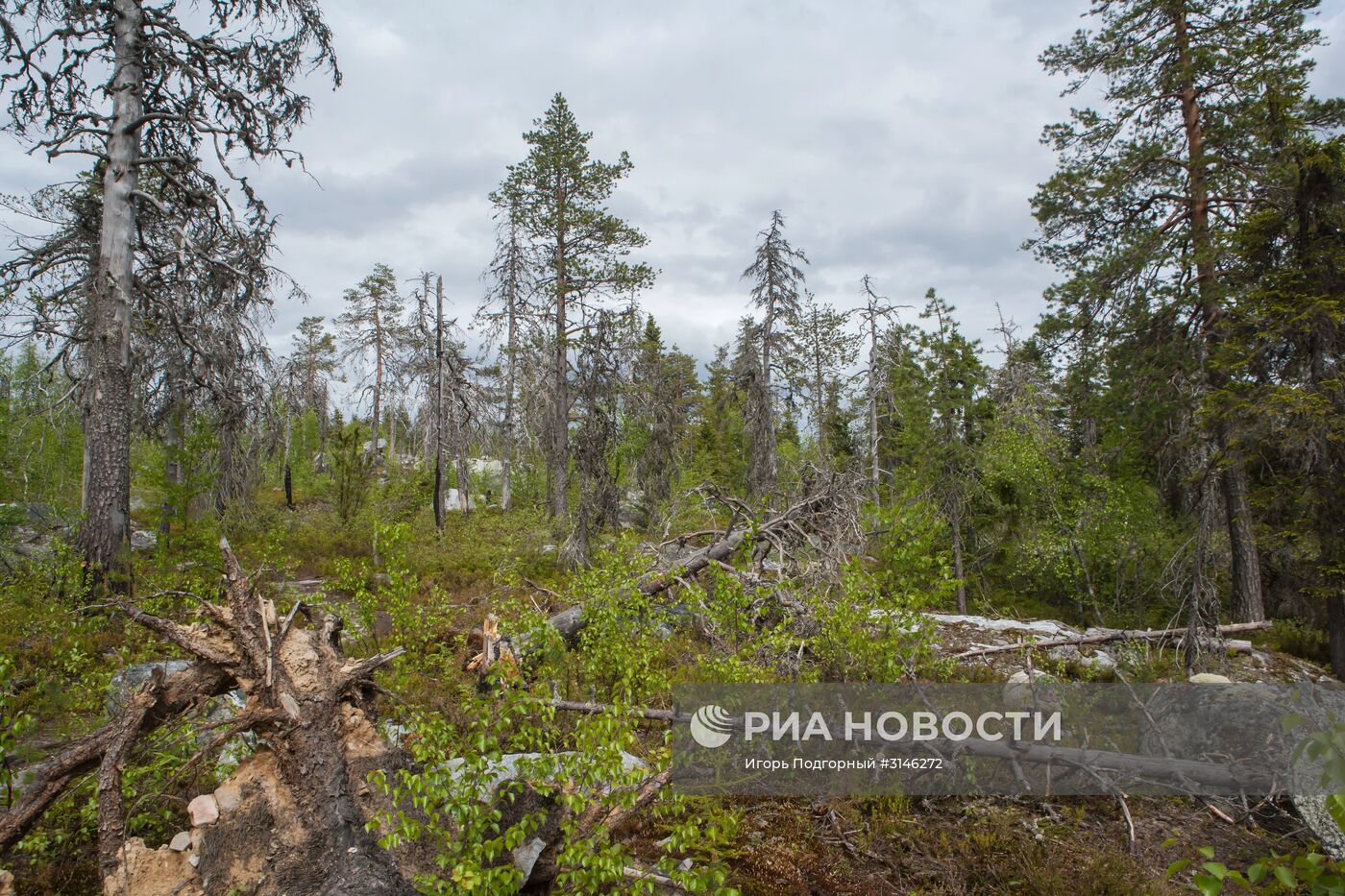 Гора Воттоваара в Карелии