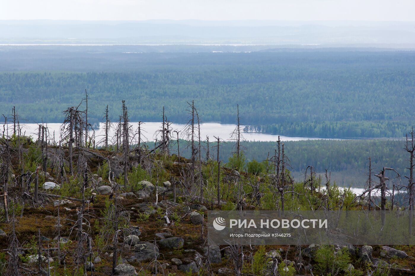 Гора Воттоваара в Карелии