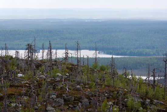 Гора Воттоваара в Карелии