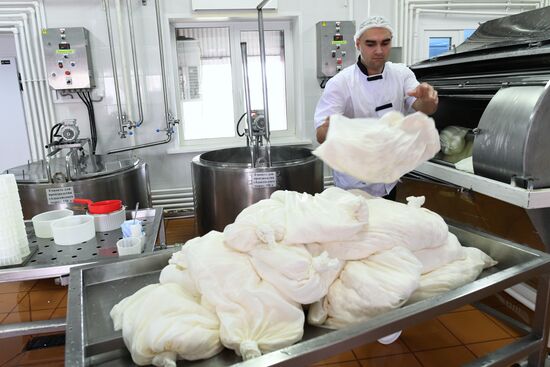 Агрохолдинг РПЦ по производству молочной продукции "Зеленоградское" в Московской области