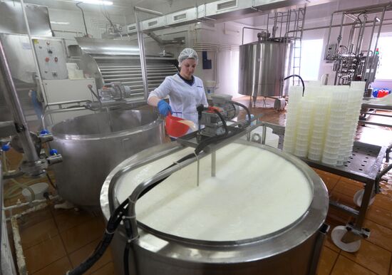 Агрохолдинг РПЦ по производству молочной продукции "Зеленоградское" в Московской области