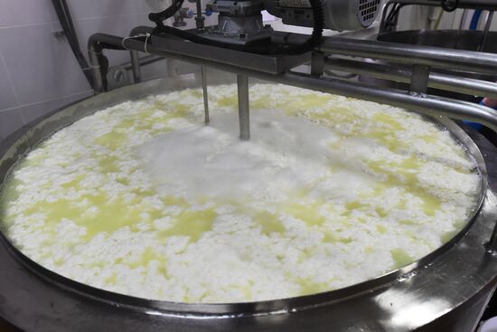 Агрохолдинг РПЦ по производству молочной продукции "Зеленоградское" в Московской области