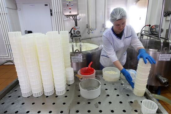 Агрохолдинг РПЦ по производству молочной продукции "Зеленоградское" в Московской области