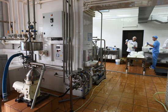 Агрохолдинг РПЦ по производству молочной продукции "Зеленоградское" в Московской области