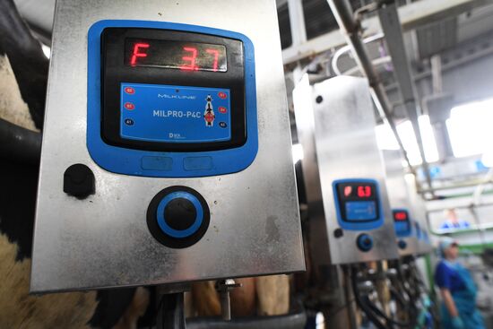 Агрохолдинг РПЦ по производству молочной продукции "Зеленоградское" в Московской области