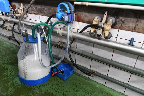 Агрохолдинг РПЦ по производству молочной продукции "Зеленоградское" в Московской области