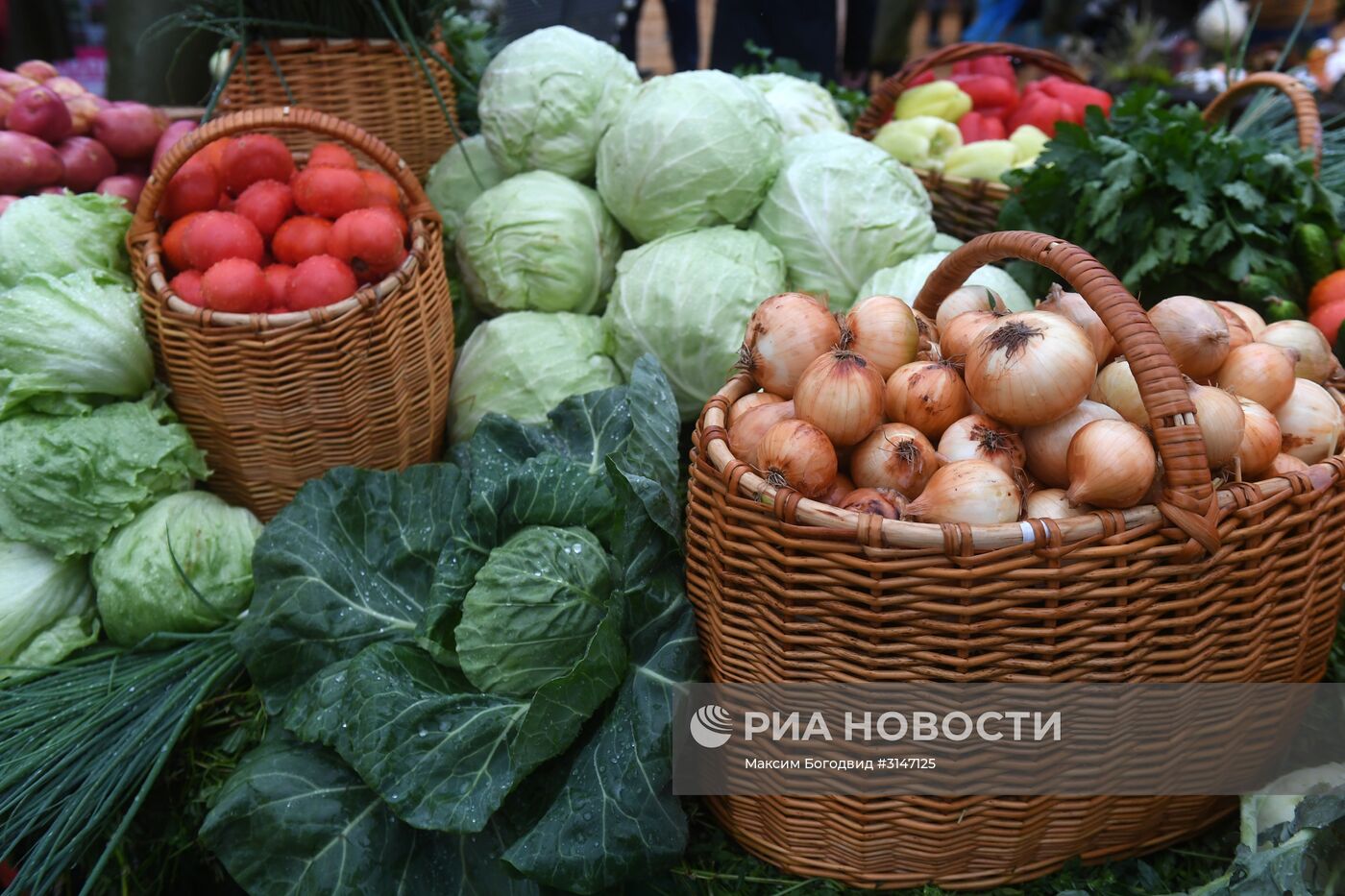 Открытие агропромышленной выставки-форума "Всероссийский день поля – 2017"