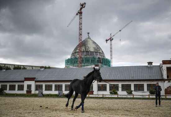 Реконструкция ВДНХ
