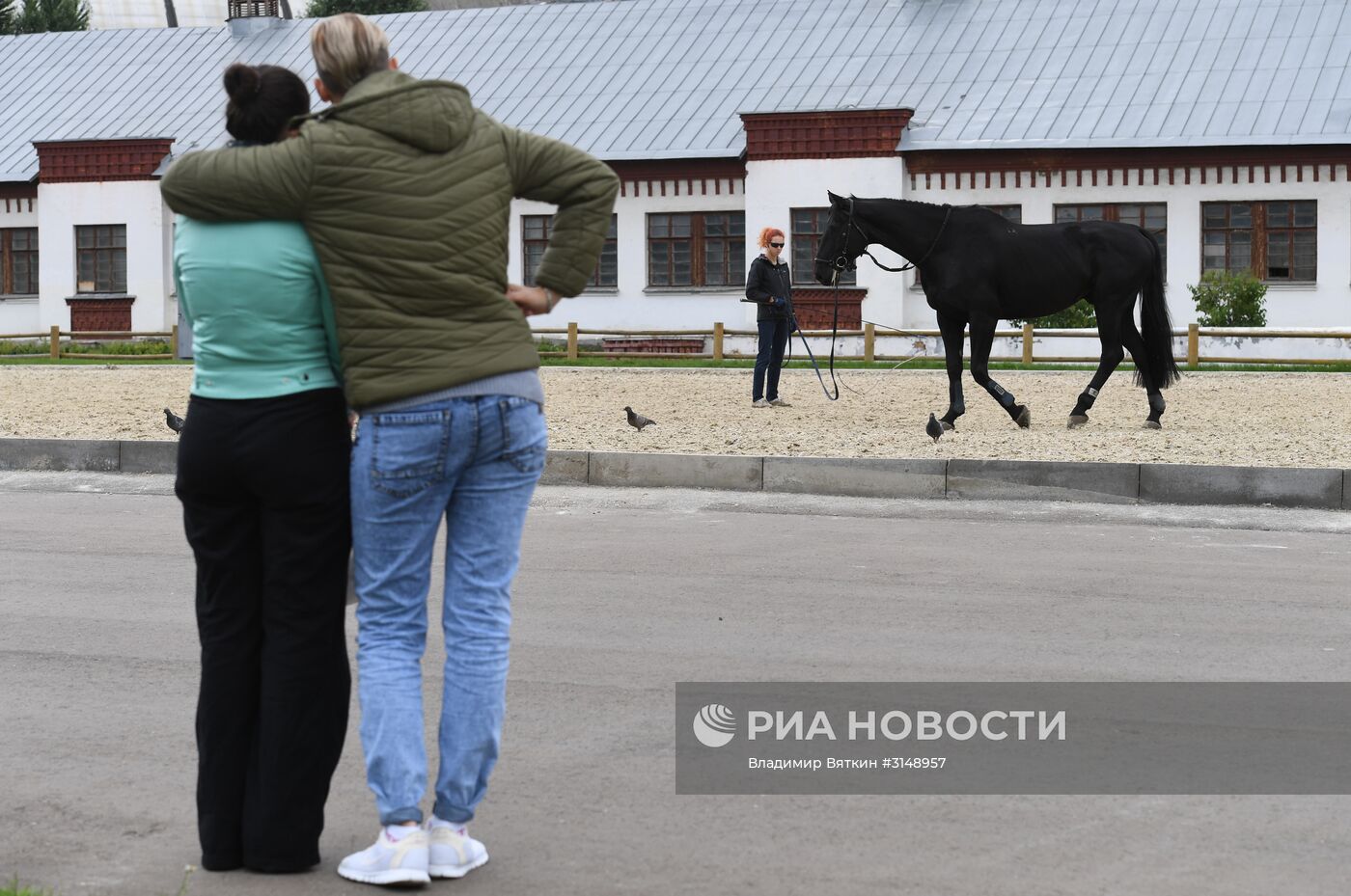 Московский фестиваль конного искусства